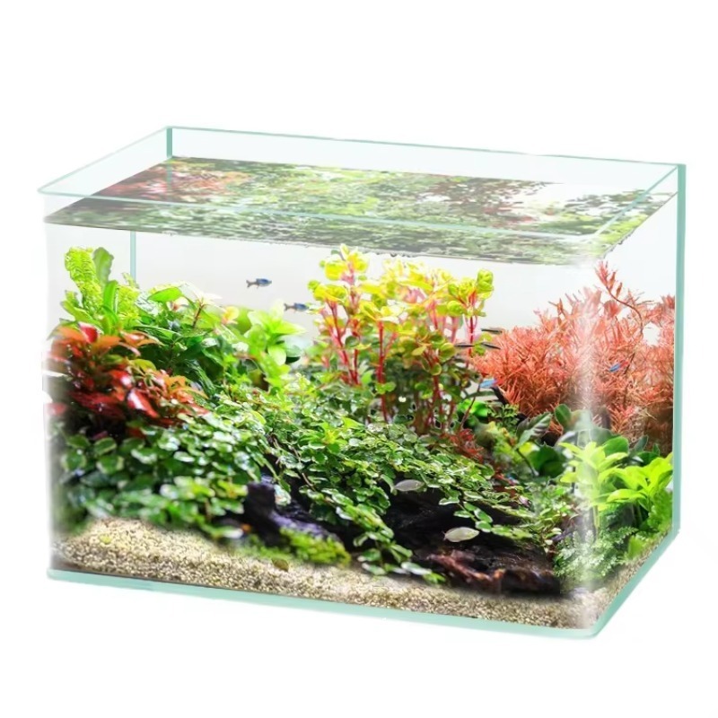 Aquarium Fish Saltwater - صندوق تعبئة سطح المكتب لحوض السمك،