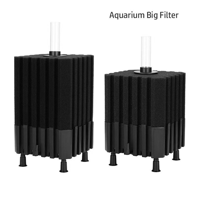 Aquarium Fish For Beginners - فلتر حوض سمك كبير لخزان الأسماك