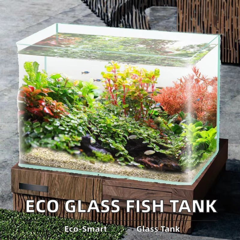 صندوق تعبئة سطح المكتب لحوض ال - مراجعة Aquarium Fish Saltwater وسعره