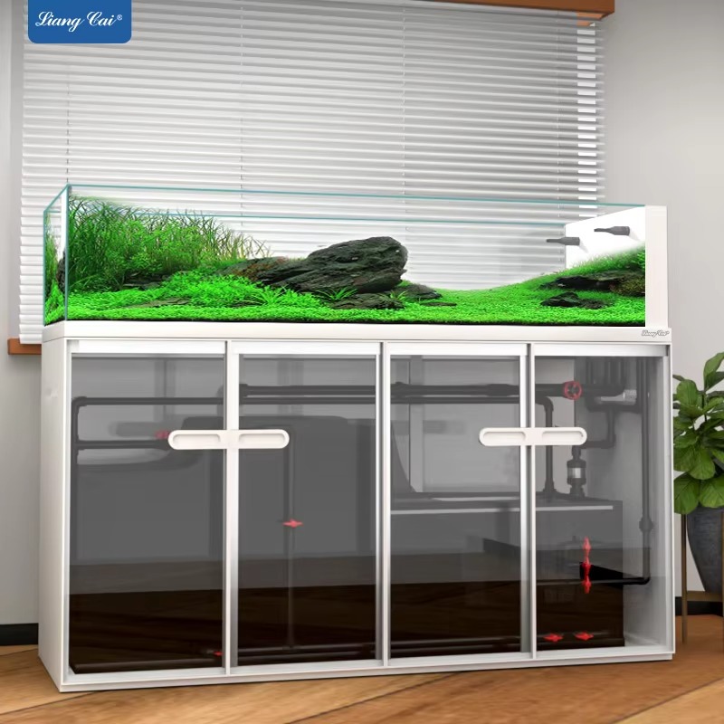 إكسسوارات أحواض السمك: حامل أح - مراجعة Aquarium Fish Saltwater وسعره