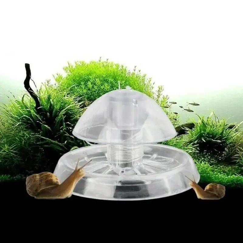 2026 جديد 6/8 سم صندوق مصيدة ح - مراجعة Aquarium Fish For Beginners وسعره