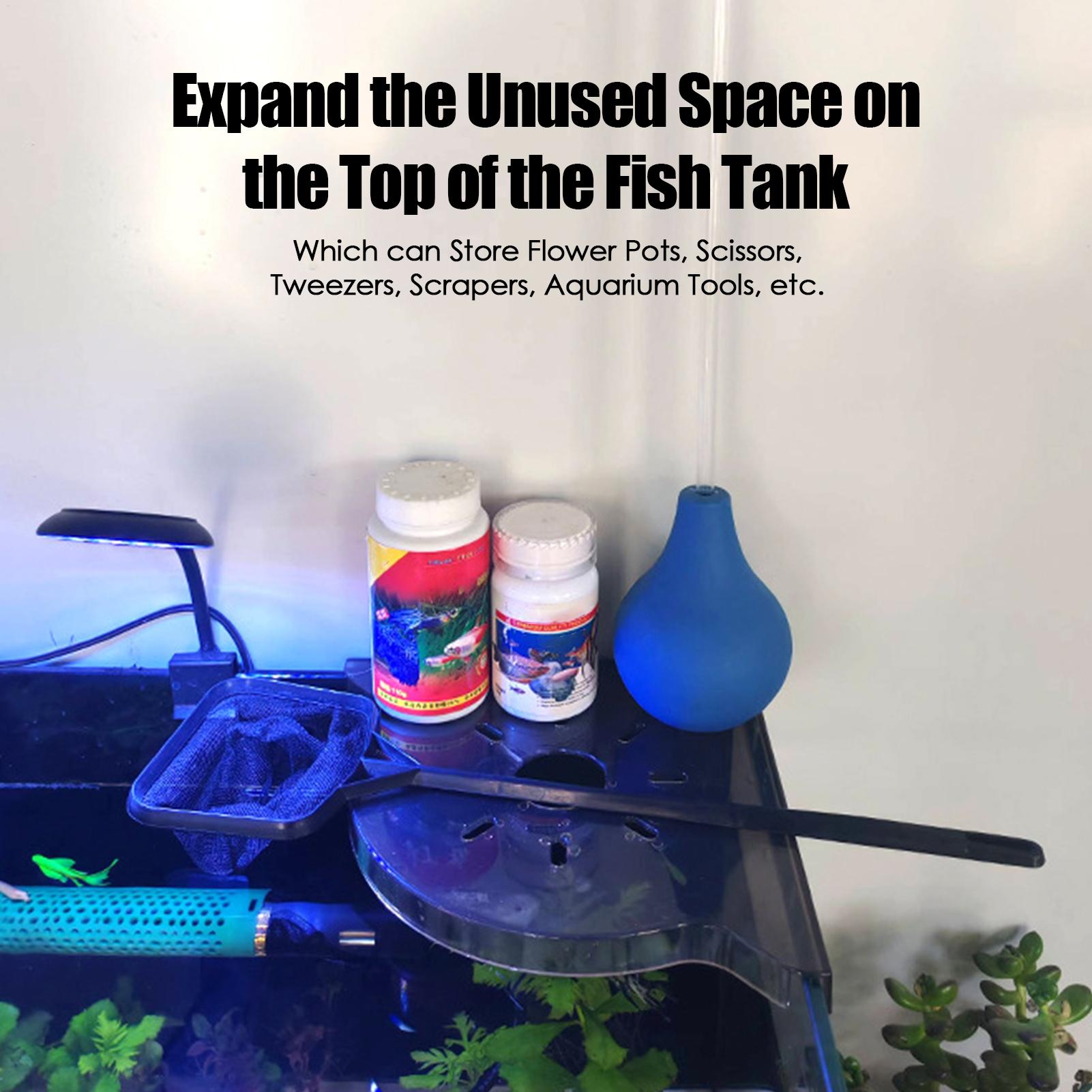 رف زاوية لحوض السمك، حامل للأش - مراجعة Aquarium Fish For Beginners وسعره