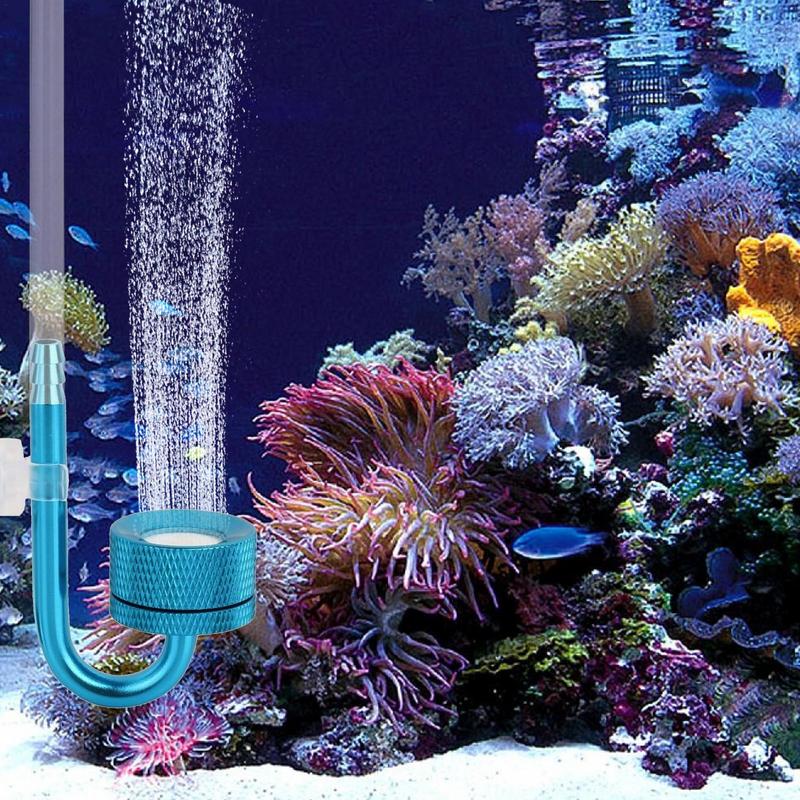 الألومنيوم CO2 البخاخة خزان ال - مراجعة Co2 Diffuser Planted وسعره