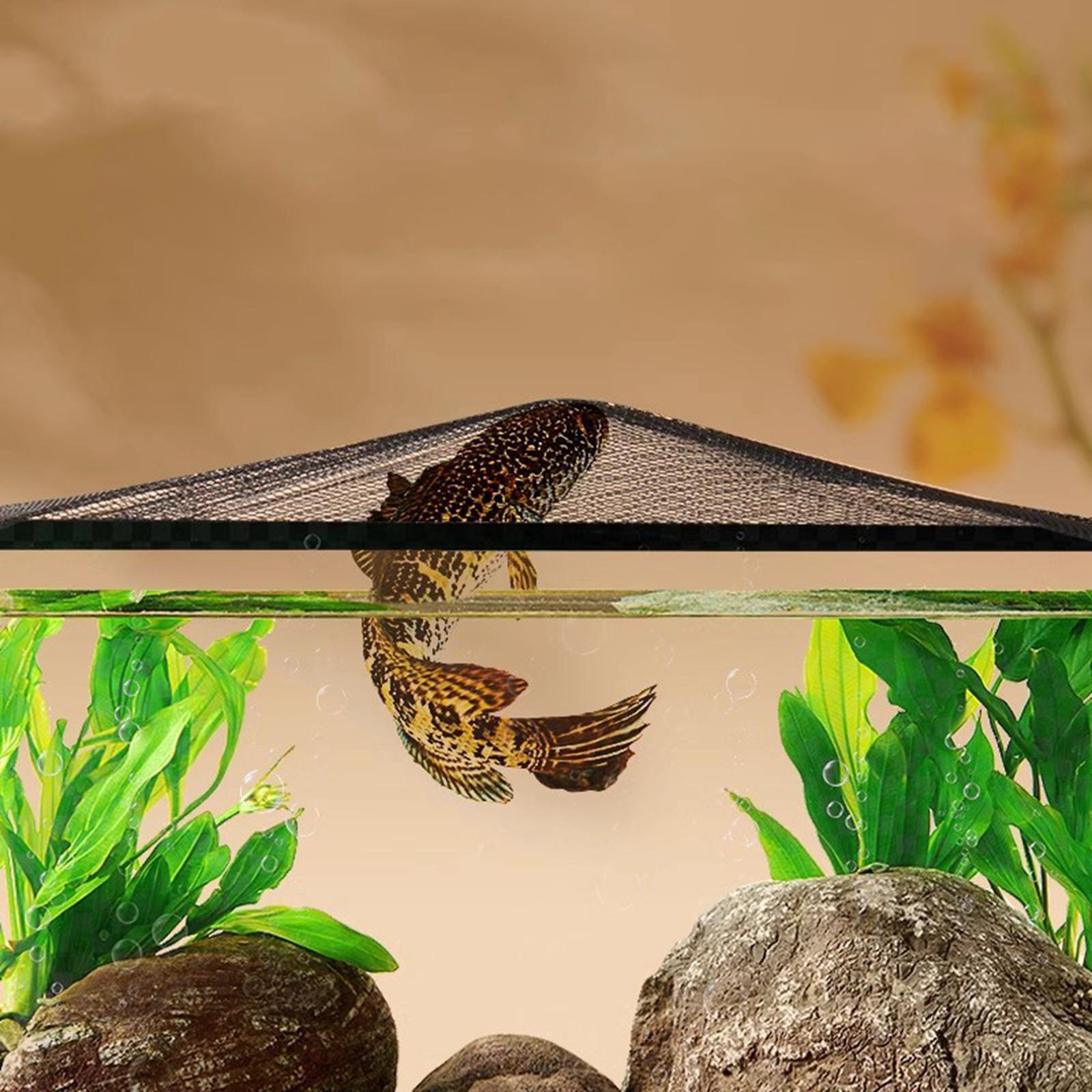 غطاء علوي لشاشة حوض السمك ، شب - مراجعة Aquarium Fish Jump Guard وسعره