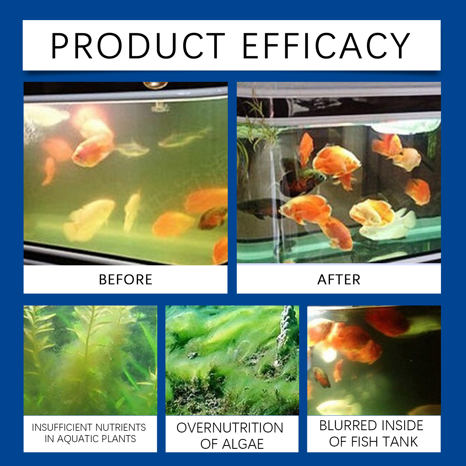 حوض السمك المياه توضيح 100 ملل - مراجعة Aquarium Fish Saltwater وسعره