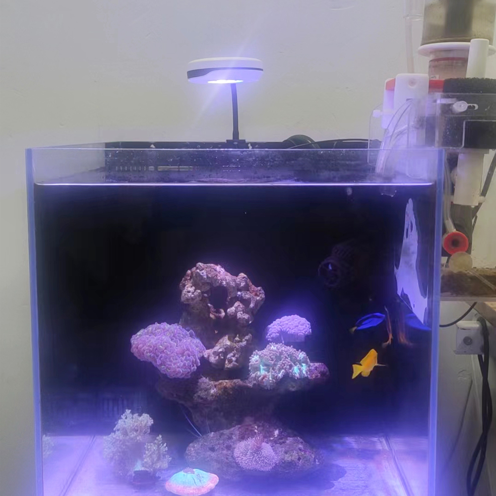 الأطياف 20 واط LED حوض السمك ض - مراجعة Refugium Light Nano وسعره
