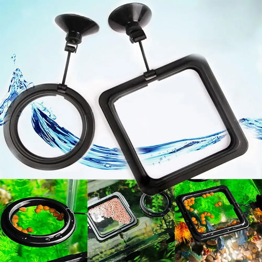تغذية شفط كأس حوض السمك تغذية  - مراجعة Aquarium Fish Accessories وسعره
