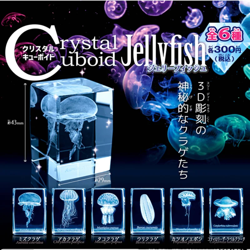 اليابان Gashapon قنديل البحر ث - مراجعة Aquarium Fish Japan وسعره
