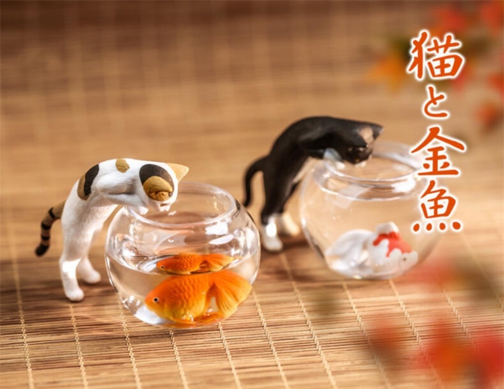 ألعاب كبسولة أصلية لطيفة كاواي - مراجعة Aquarium Fish Japan وسعره