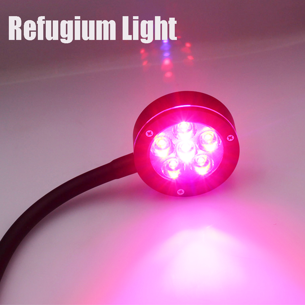 مصباح LED عالي الطاقة لنمو الن - مراجعة Refugium Light Nano وسعره