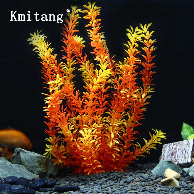 نباتات استوائية اصطناعية بطول  - مراجعة Aquarium Fish Saltwater وسعره