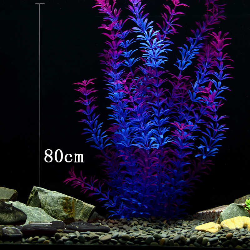 نباتات استوائية اصطناعية بطول  - مراجعة Aquarium Fish Saltwater وسعره