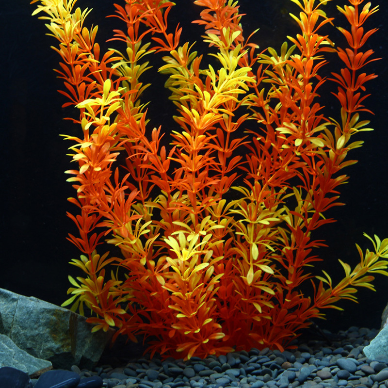 نباتات استوائية اصطناعية بطول  - مراجعة Aquarium Fish Saltwater وسعره