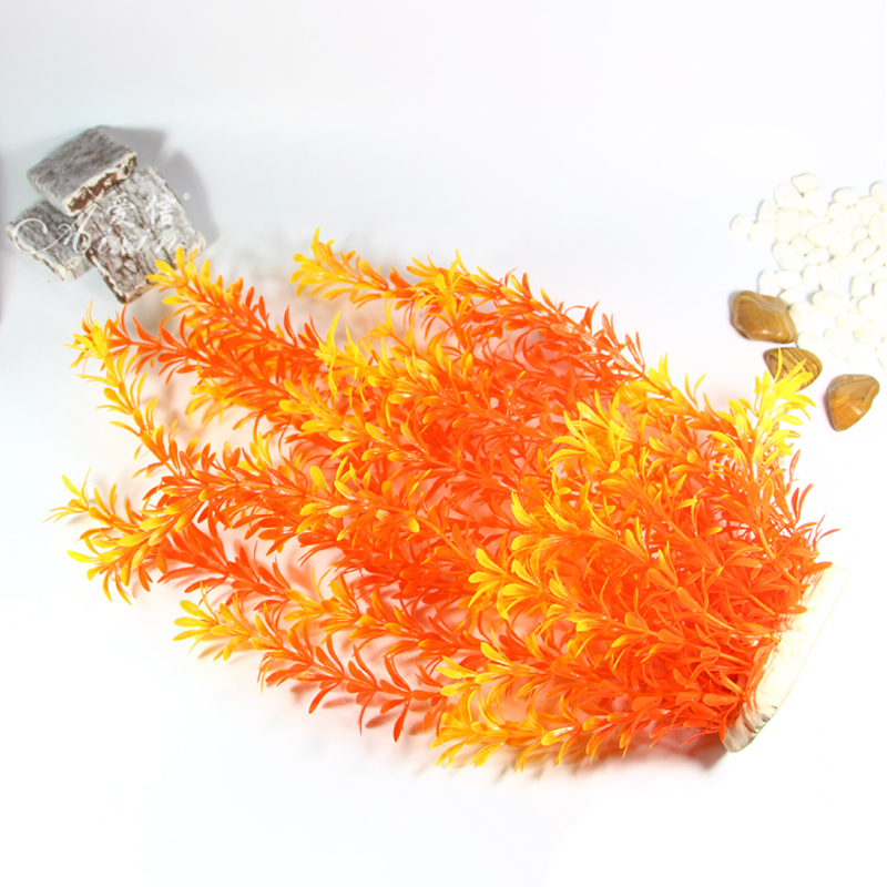 نباتات استوائية اصطناعية بطول  - مراجعة Aquarium Fish Saltwater وسعره