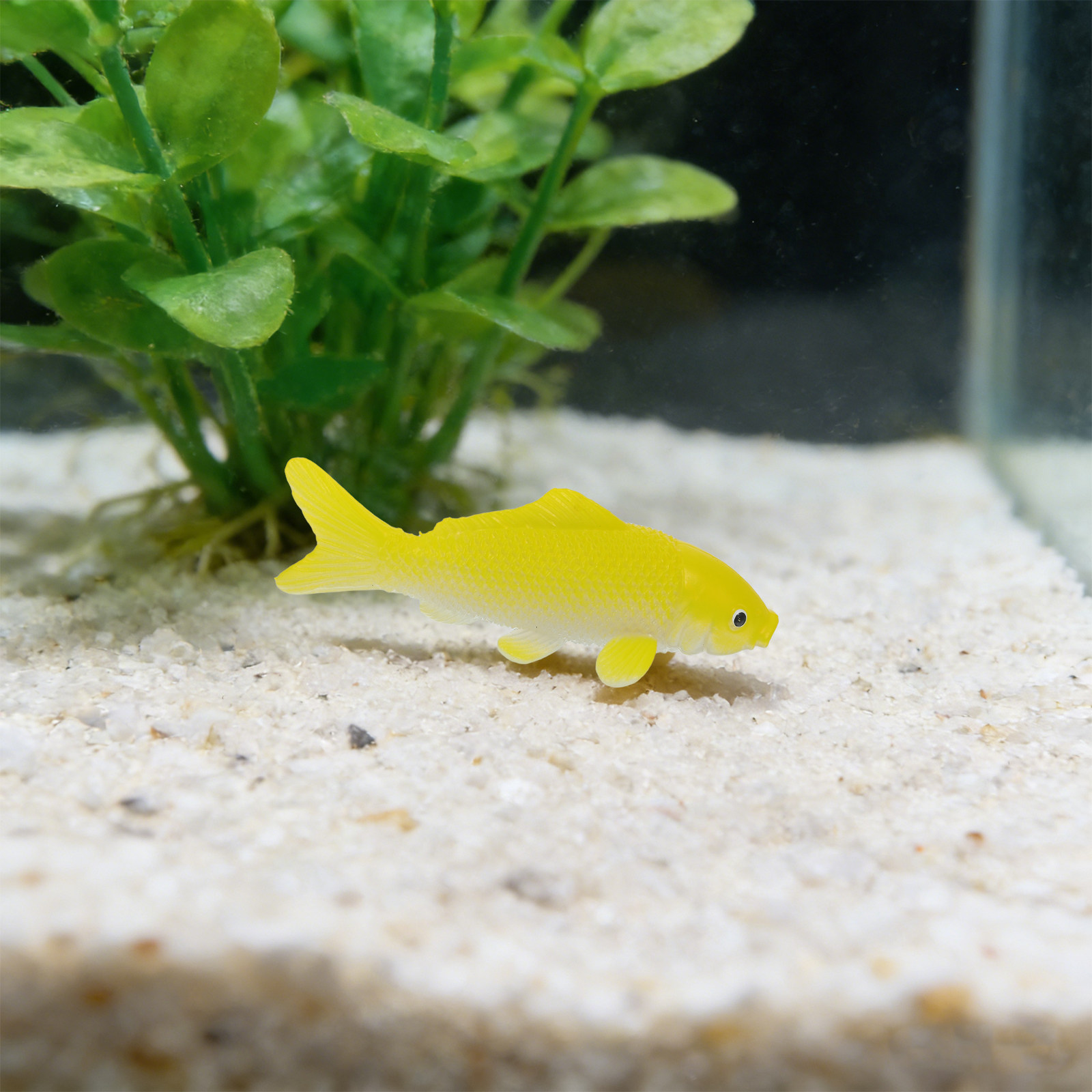 3 قطع من ألعاب الأسماك الحرفية - مراجعة Aquarium Fish In Pond وسعره