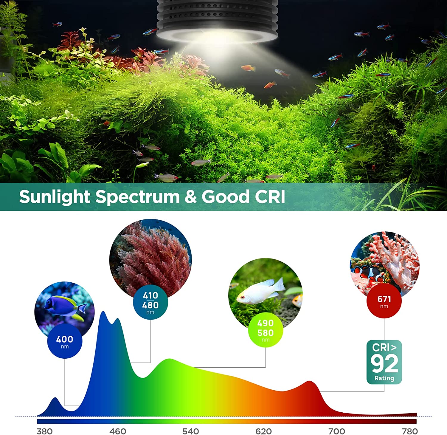 إضاءة حوض السمك لوميني أستا 20 - مراجعة Refugium Light Nano وسعره