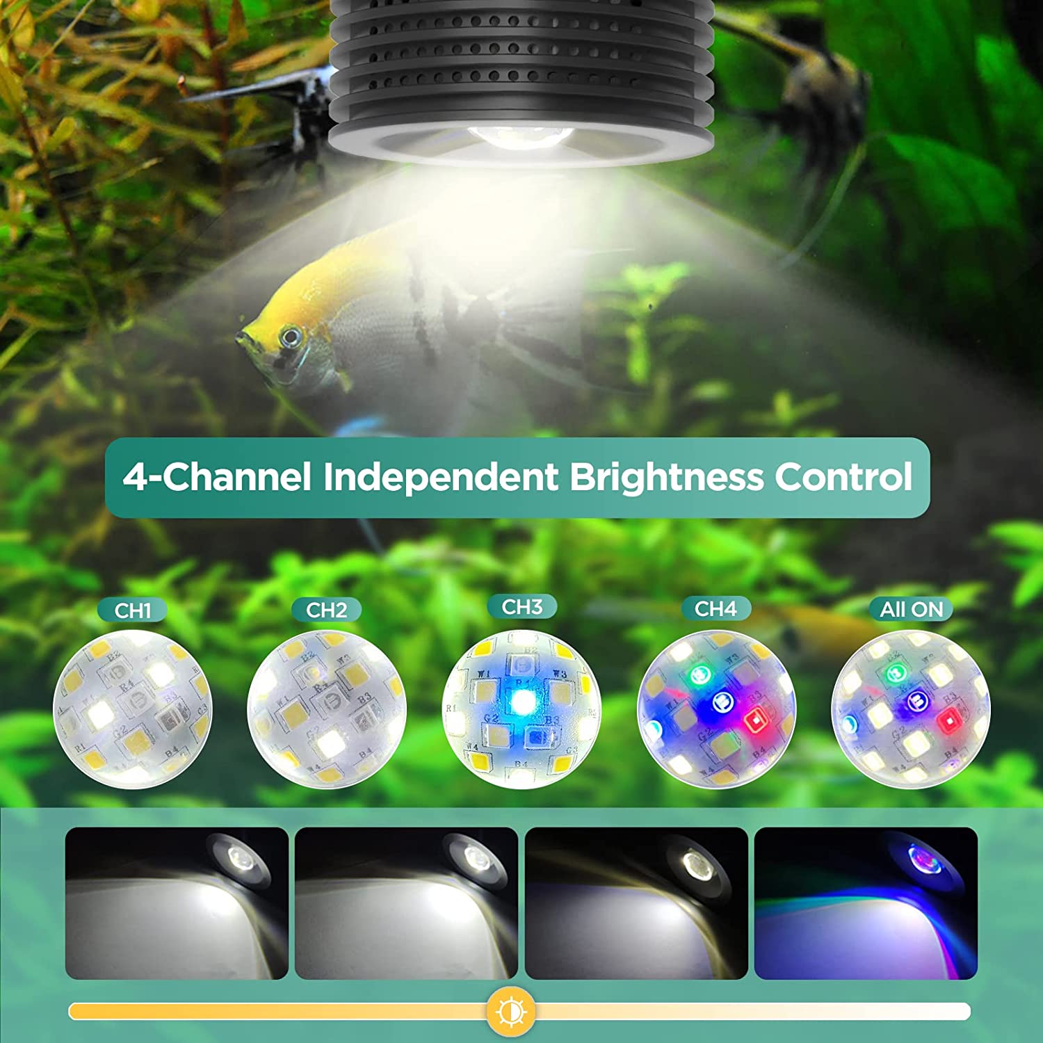 إضاءة حوض السمك لوميني أستا 20 - مراجعة Refugium Light Nano وسعره