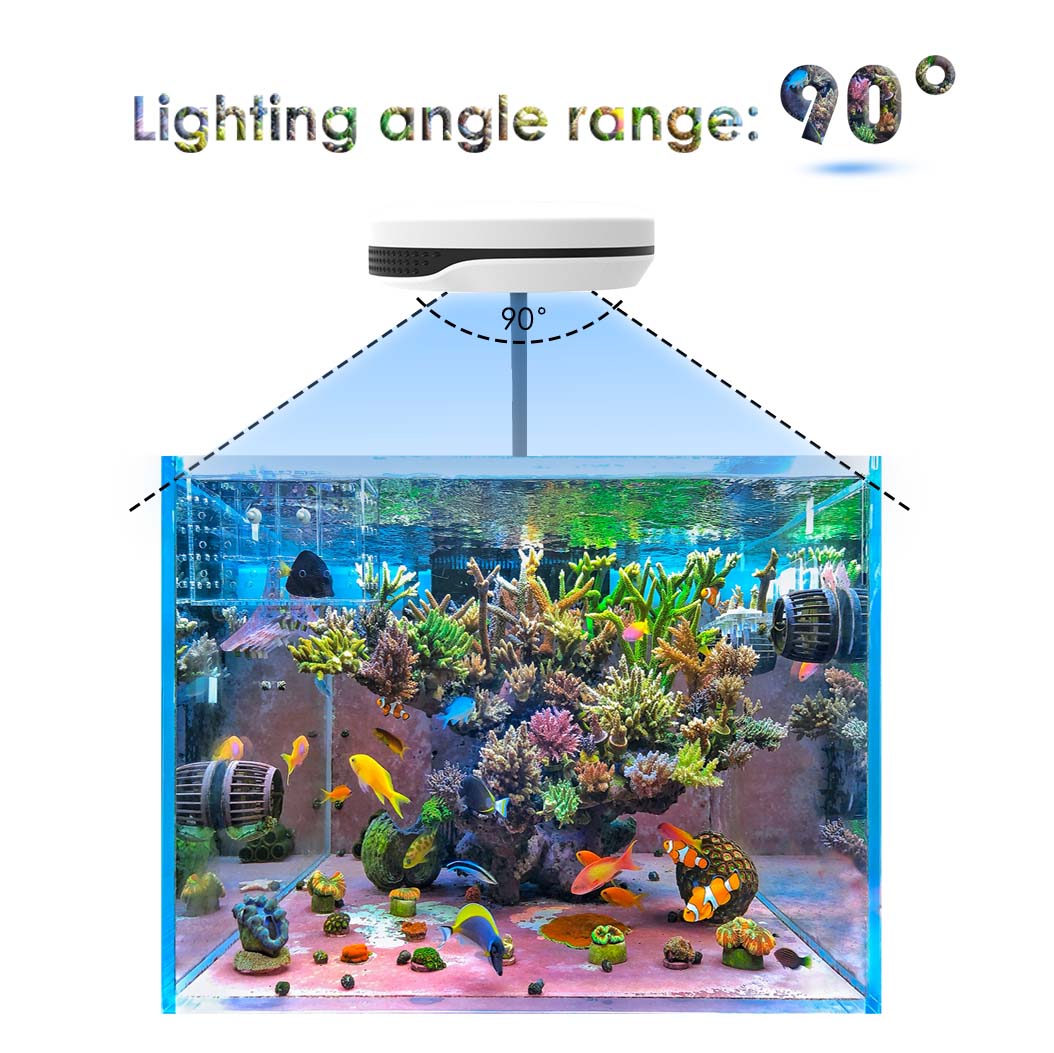 20 واط الأطياف SP20 Ac110-240V - مراجعة Refugium Light Nano وسعره