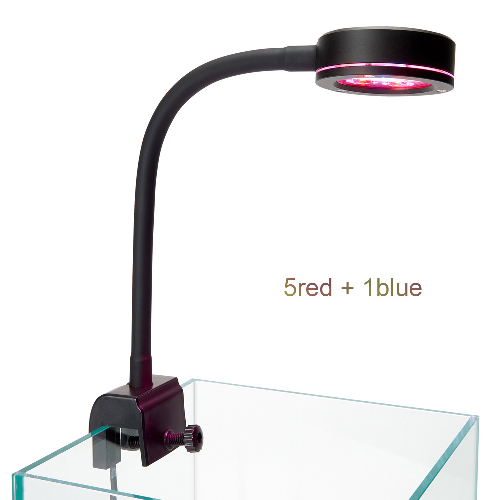 مصباح نانو LED لحوض السمك للشع - مراجعة Refugium Light Nano وسعره