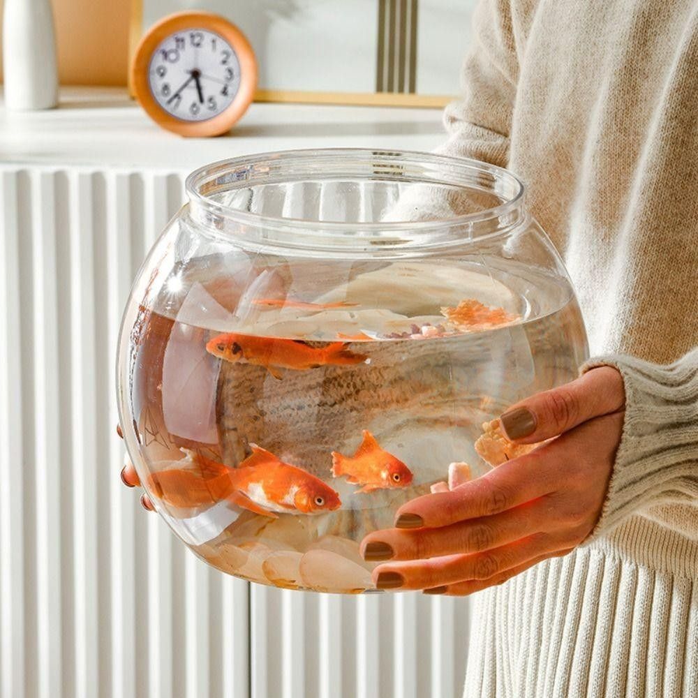 جديد شفاف خزان الأسماك جولة غي - مراجعة Aquarium Fish For Beginners وسعره