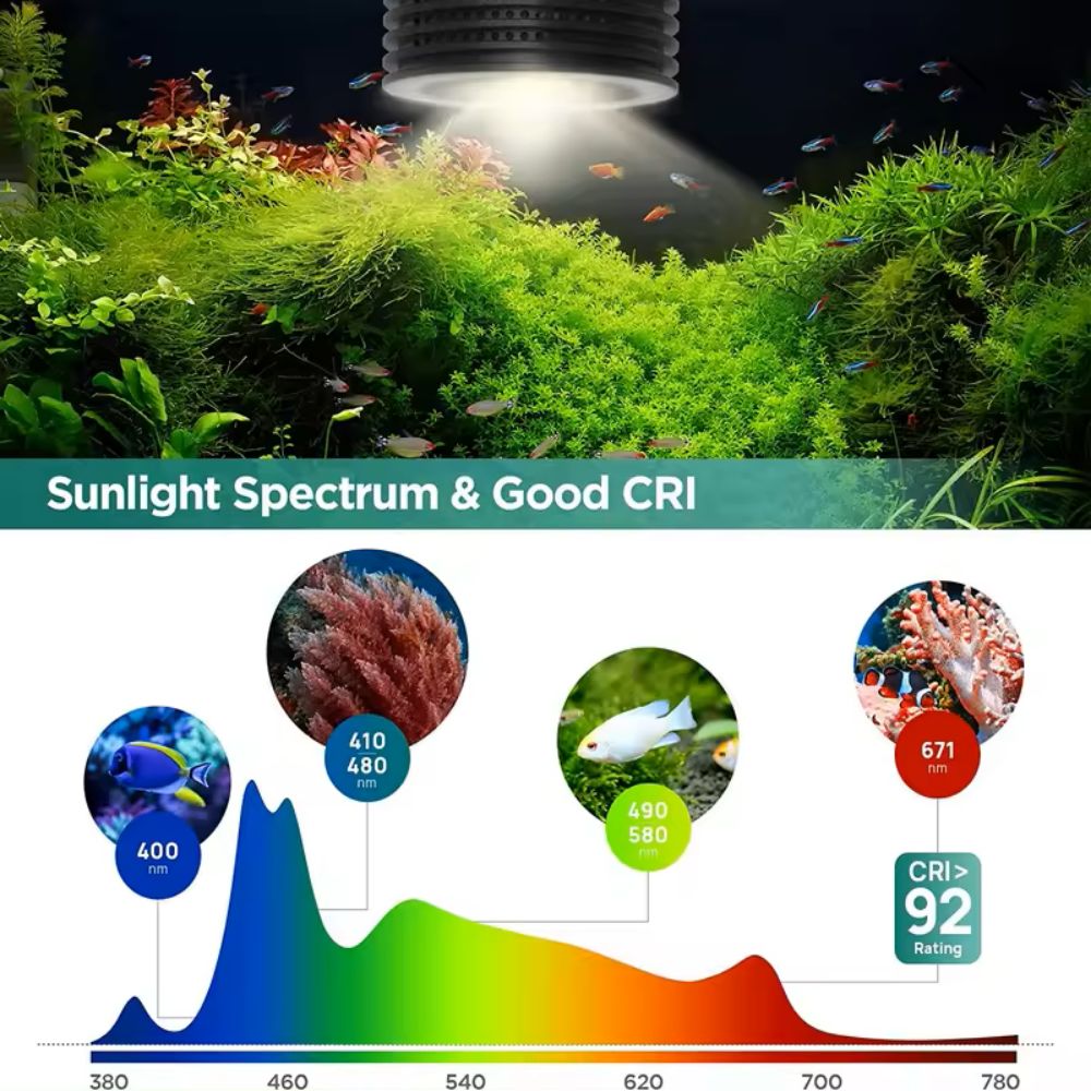 Lominie Asta 20 المياه العذبة  - مراجعة Refugium Light Nano وسعره