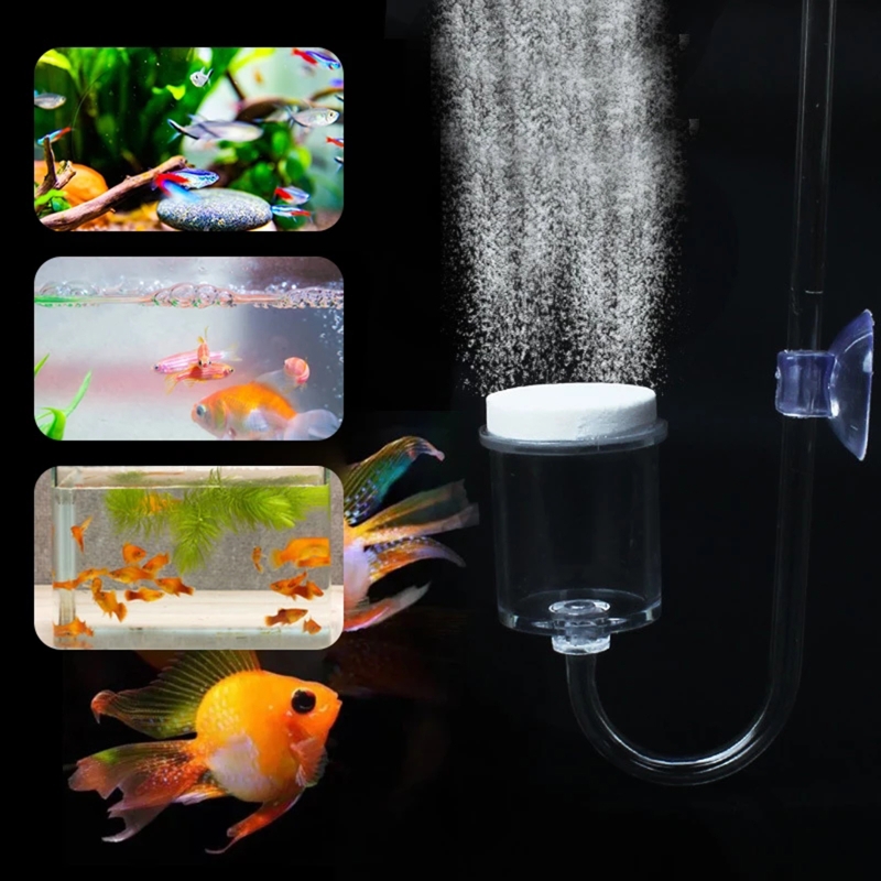 ناشر CO2 لحوض السمك ، خزان زجا - مراجعة Co2 Diffuser Planted وسعره