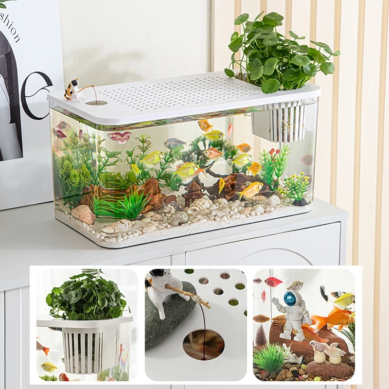 PET + ABS خزان الأسماك جديد شف - مراجعة Aquarium Fish For Beginners وسعره